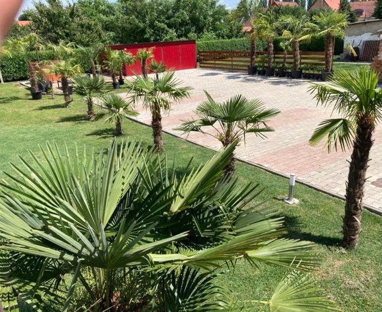 מלון Villány Roze Vendeghaz מראה חיצוני תמונה